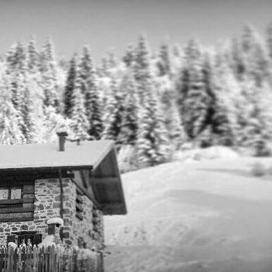 Chalet Lagorai Roncegno 外观 照片
