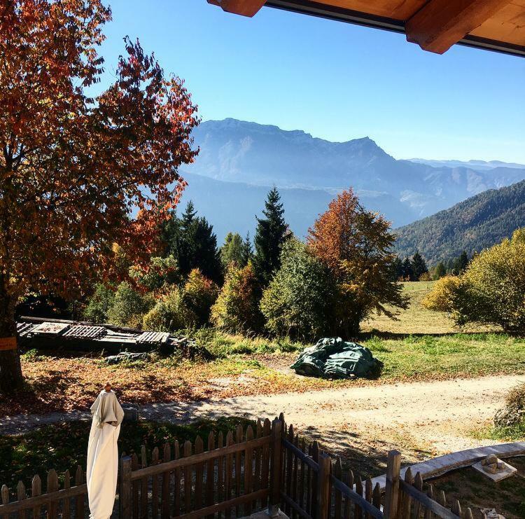 Chalet Lagorai Roncegno 外观 照片
